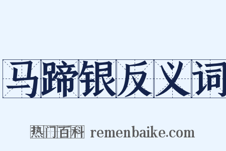 马蹄银反义词是什么意思的图片